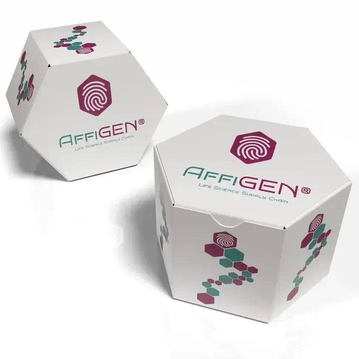 [AFG-CST-0019] AffiCUSTOM® Visium HD spatial transcriptomics service -2 samples with an 11 × 11 mm capture area, including the complete workflow and data deliver